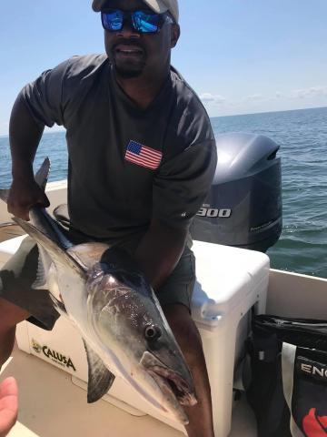 Profile picture for user samueleitel